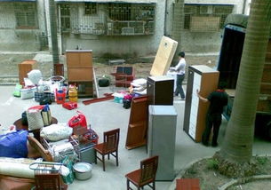 專業免費上門大件貨物、摩托車電動車及寵物托運信息咨詢服務